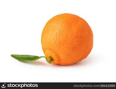 Ripe mandarines isolated on white background. Ripe mandarines on a white background