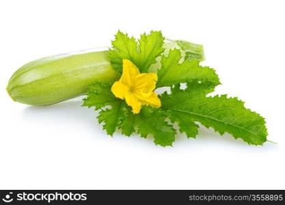 ripe marrow vegetable with leaf isolated on a white background