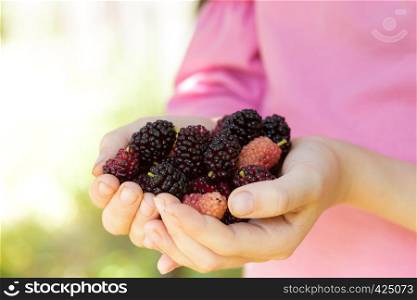 ripe mulberry in the hands of a girl