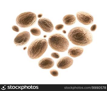 Ripe nutmegs in the shape of a heart on a white background.. Ripe nutmegs in the shape of a heart on a white background