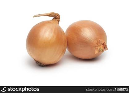 Ripe onion isolated on white background. Ripe onion on a white background