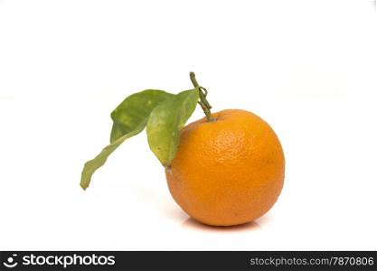 ripe orange on a white background