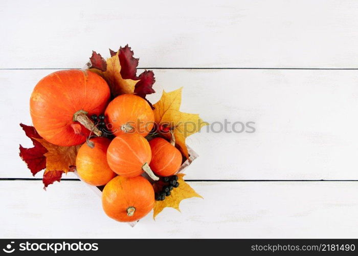 Ripe orange pumpkins and maple leaves on a white background. Autumn harvest and Thanksgiving concept.. Ripe orange pumpkins and maple leaves on white background. Autumn harvest and Thanksgiving concept.