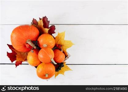 Ripe orange pumpkins and maple leaves on a white background. Autumn harvest and Thanksgiving concept.. Ripe orange pumpkins and maple leaves on white background. Autumn harvest and Thanksgiving concept.