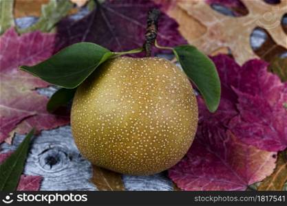 Ripe organic pear fruit during the autumn season in close up view