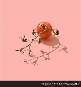 Ripe organic tomato on the stem presented on a color background of the year 2019 Living Coral Pantone with reflection of shadows and a copy of the space. Healthy Diet Food. Top view. Stalk with red ripe tomatoes on a color background of the year 2019 Living Coral Pantone with patterns from the shadows and copy space. Healthy food. Top view
