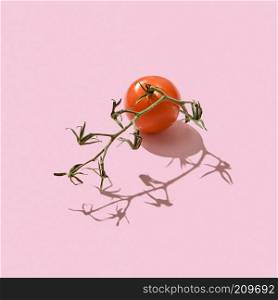 Ripe organic tomato on the stem presented on a pink fong with reflection of shadows and a copy of the space. Healthy Diet Food. Top view. Stalk with red ripe tomatoes on a pink background with patterns from the shadows and copy space. Healthy food. Top view