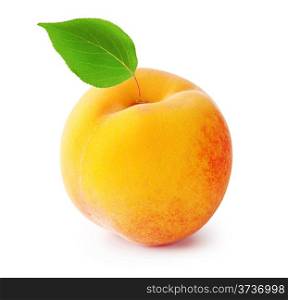 Ripe peach with leaf isolated on white background