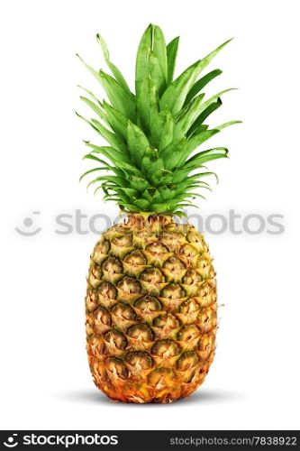 Ripe pineapple isolated on a white background