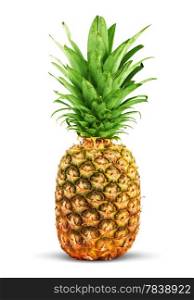 Ripe pineapple isolated on a white background