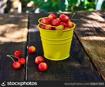 Ripe pink cherry in a metal yellow bucket on a wooden table