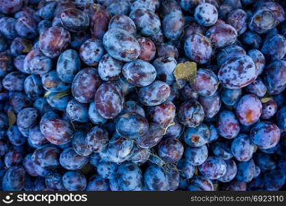 Ripe Plums Background. Fresh ripe plums