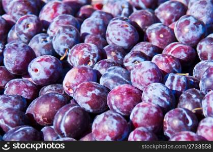 Ripe plums. background of many ripe plums lying in the sun