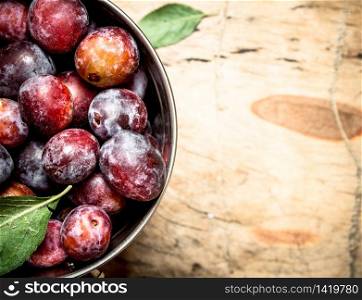 Ripe plums in the bucket. On wooden background.. Ripe plums in the bucket.
