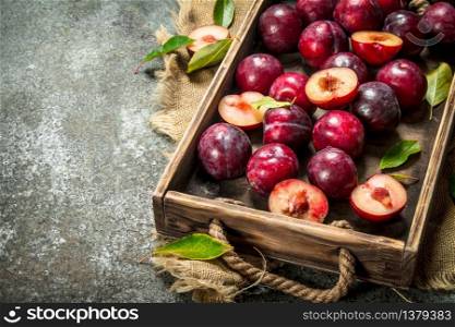 Ripe plums with a wooden box. On a rustic background.. Ripe plums with a wooden box.