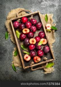 Ripe plums with a wooden box. On a rustic background.. Ripe plums with a wooden box.