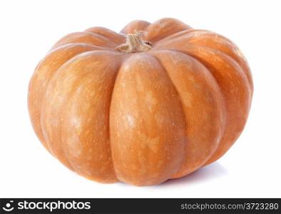 Ripe pumpkin in front of white background