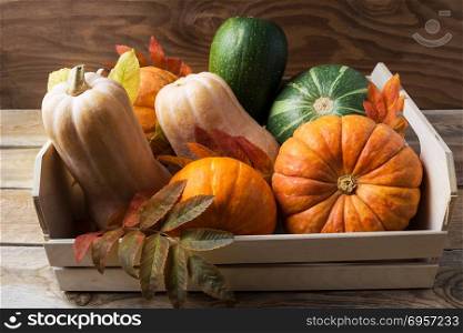 Ripe pumpkins in wooden box. Autumn seasonal vegetables on rustic background . Ripe pumpkins in wooden box