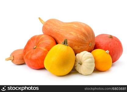 ripe pumpkins isolated on white background