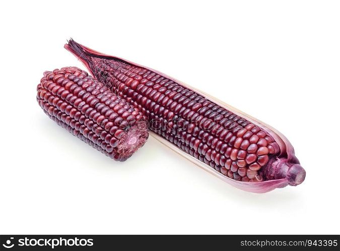 ripe purple corn isolate on white background