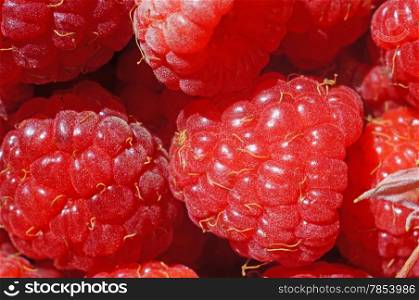 Ripe raspberry as a background extreme close-up (macro)