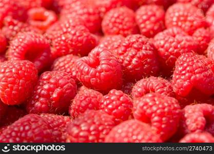 Ripe raspberry - detail background .