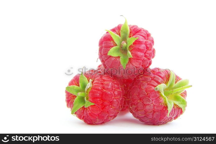 Ripe raspberry isolated on a white background