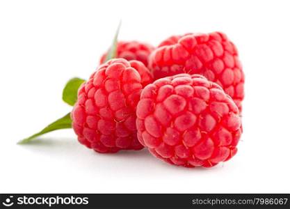 Ripe raspberry with leaf isolated on white background.
