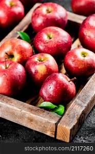 Ripe red apples on a wooden tray. On a black background. High quality photo. Ripe red apples on a wooden tray.