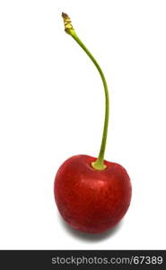 Ripe red cherry on a white background