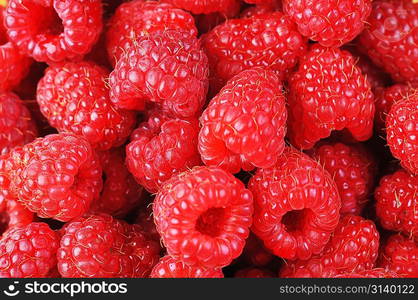 Ripe red raspberries close up