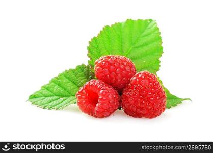 Ripe red raspberries with green leaves close up