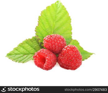 Ripe red raspberries with green leaves close up