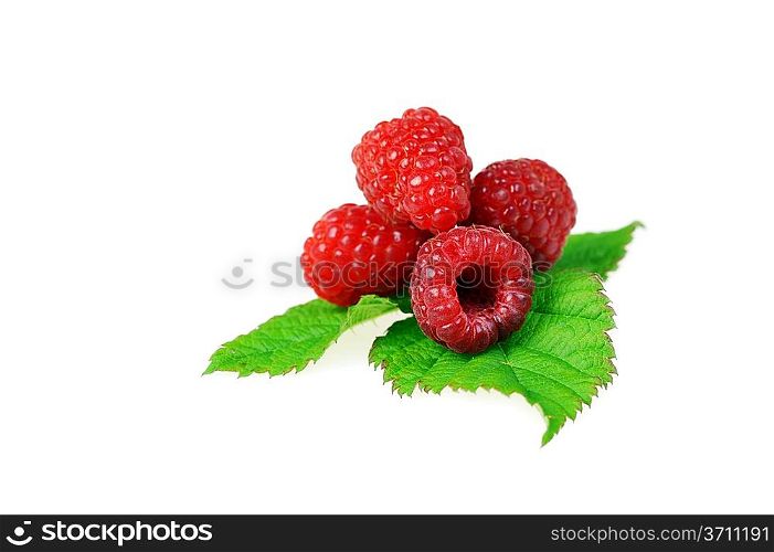 Ripe red raspberries with green leaves close up