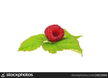 Ripe red raspberry with green leaves close up