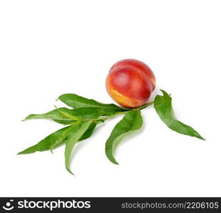  ripe red round nectarine and a branch with green leaves isolated on white background, close up