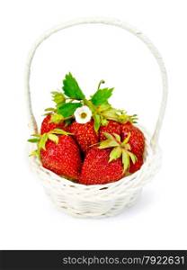 Ripe red strawberries in a white wicker basket with flowers and green leaves isolated on white background