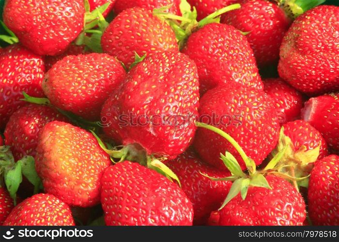 ripe red strawberries. ripe red and fresh berries of strawberry