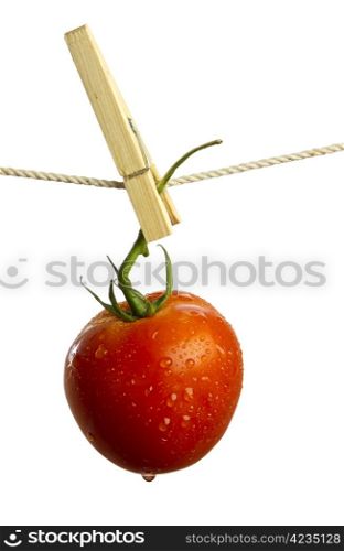 Ripe red tomato hanging and drying from a clothesline isolated on white background.