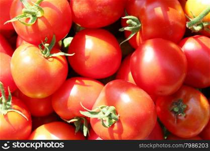 ripe red tomatoes . big heap of red and ripe tomatoes