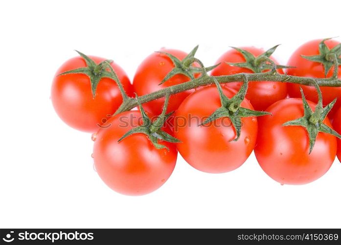 Ripe red tomatoes on the green branch.
