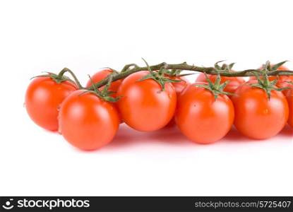 Ripe red tomatoes on the green branch.
