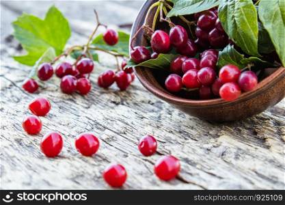 Ripe red viburnum berries in a round bowl on a wooden table. Viburnum on a wooden background. Autumn concept, harvesting, cooking. Red viburnum.. Ripe red viburnum berries in a round bowl on a wooden table. Viburnum on a wooden background. Autumn concept, harvesting, cooking.