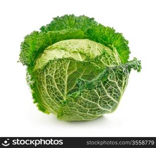 Ripe Savoy Cabbage Isolated on White Background