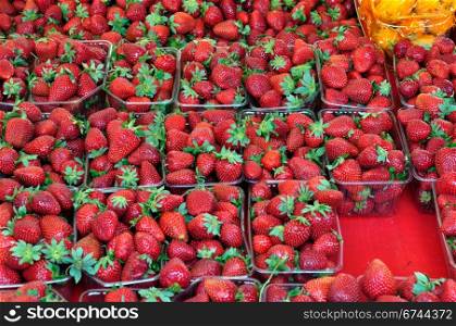 Ripe strawberries in plastic crates at grocery store. Fruit background.