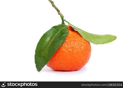 Ripe tangerine isolated on white background.