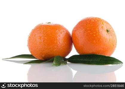 Ripe tangerines or mandarin isolated on white background
