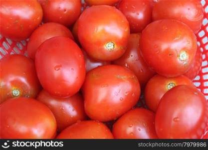 ripe tomatoes in basket