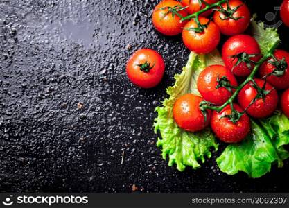 Ripe tomatoes on a branch on a lettuce leaf. On a black background. High quality photo. Ripe tomatoes on a branch on a lettuce leaf.