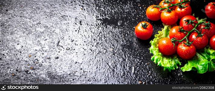 Ripe tomatoes on a branch on a lettuce leaf. On a black background. High quality photo. Ripe tomatoes on a branch on a lettuce leaf.